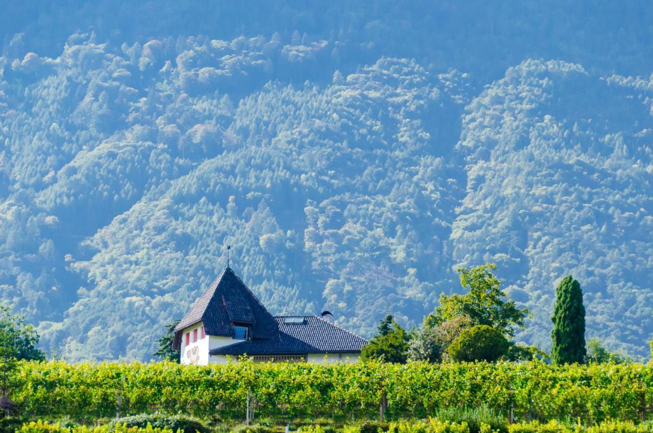 B&B Zum Guten Tropfen San Paolo  Exteriör bild
